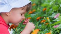 Child smelling flowers in a garden.